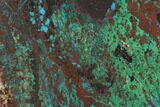 Chrysocolla & Malachite Slab From Arizona - Clear Coated #119751-1